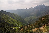 DSC_1375.JPG