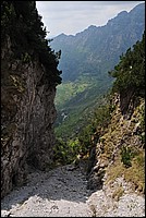 DSC_1377.JPG