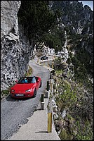 DSC_1384.JPG