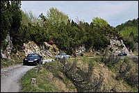 DSC_1394.JPG