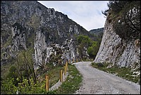 DSC_1402.JPG