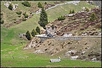DSC_1411C.jpg