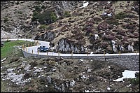 DSC_1416C.jpg