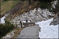 DSC_1425.JPG