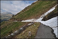 DSC_1426.JPG