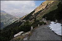 DSC_1432.JPG