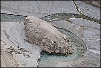 DSC_1490.JPG