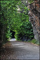 DSC_1519.JPG