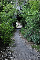 DSC_1521.JPG