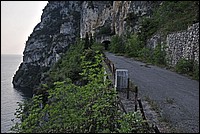 DSC_1524G.jpg