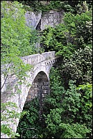 DSC_1536.JPG