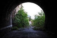 DSC_1537.JPG