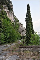 DSC_1542.JPG