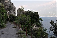 DSC_1546.JPG