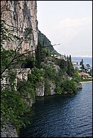 DSC_1555.JPG