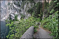 DSC_1635.JPG