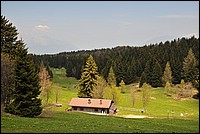 DSC_1792.JPG