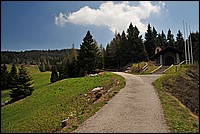 DSC_1793G.jpg