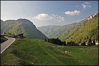 DSC_1887DG.jpg