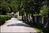 DSC_2017.JPG