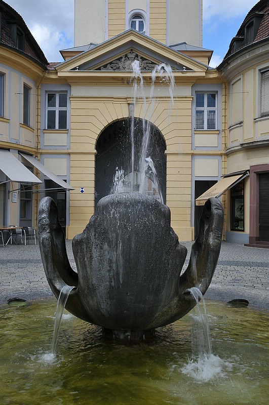 DSC_9133.JPG
