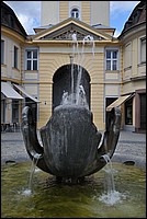 DSC_9133.JPG