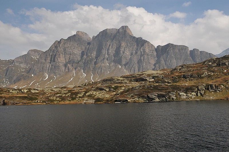 DSC_0516.JPG