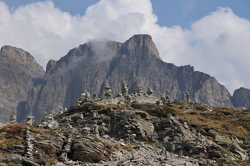 DSC_0520.JPG