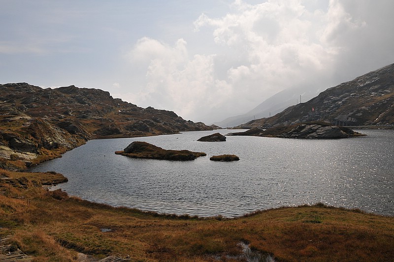 DSC_0524.JPG