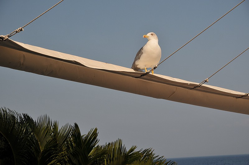 DSC_0632.JPG