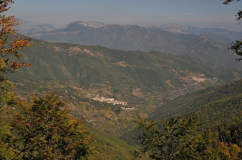 DSC_0704.JPG