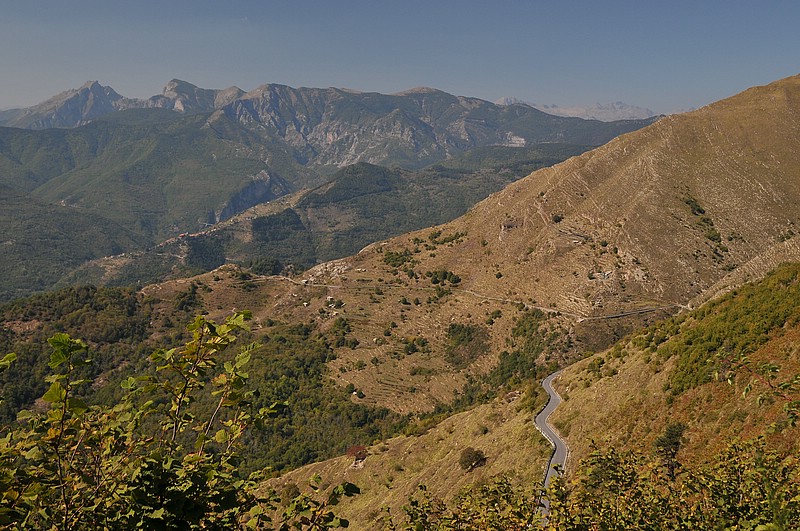 DSC_0710.JPG