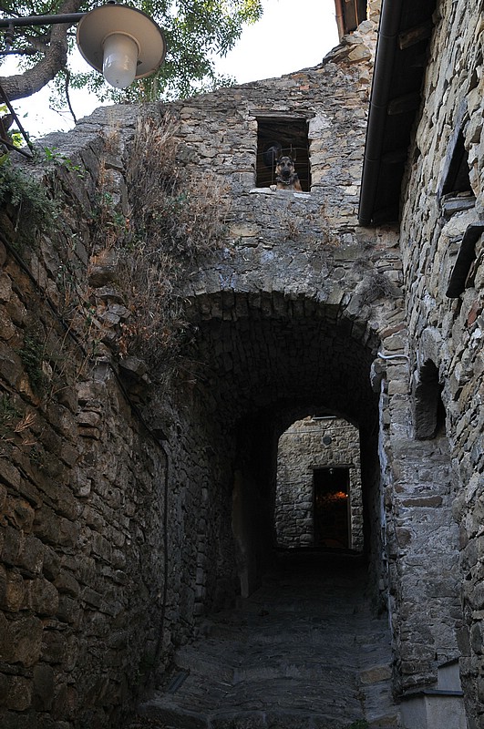DSC_0826.JPG