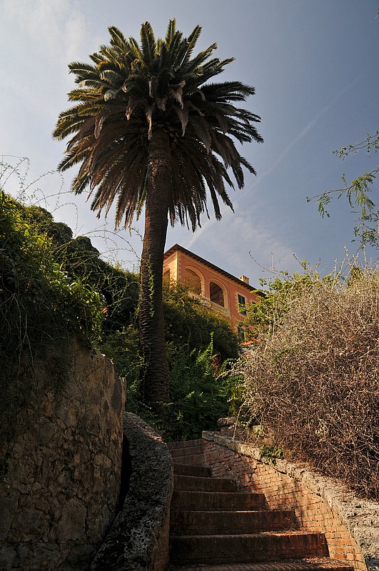 DSC_0942G.jpg