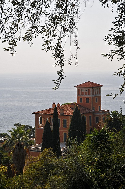 DSC_0975DG.jpg