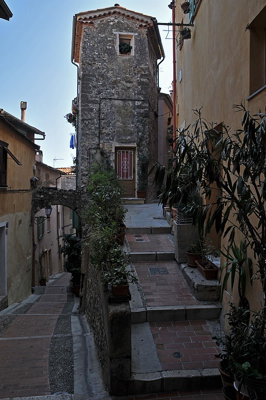 DSC_1014G.jpg