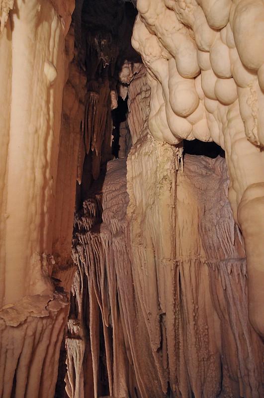 DSC_1060Co.jpg