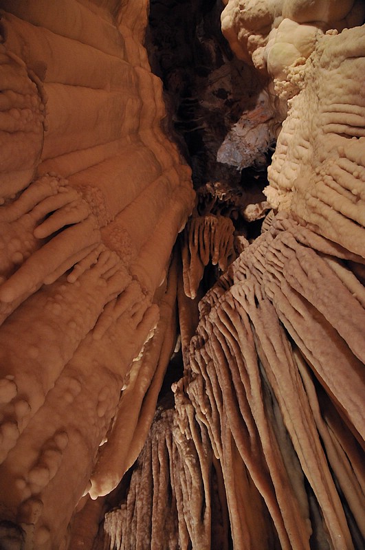 DSC_1066Co.jpg