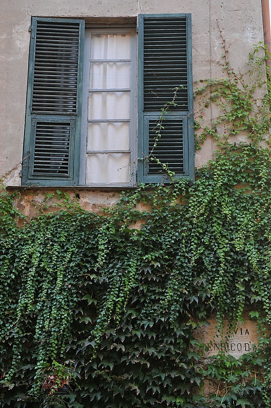 DSC_1177.JPG