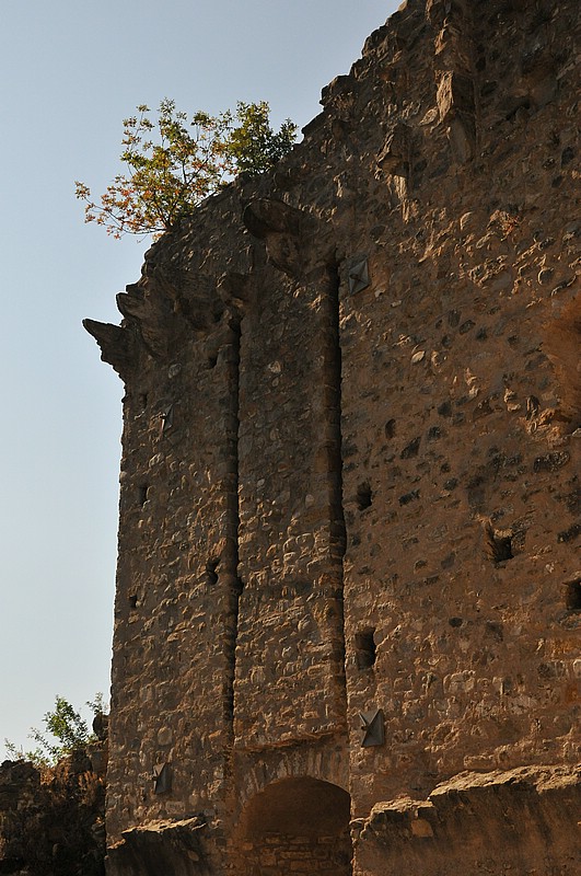 DSC_1200.JPG