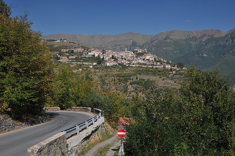 DSC_1285.JPG