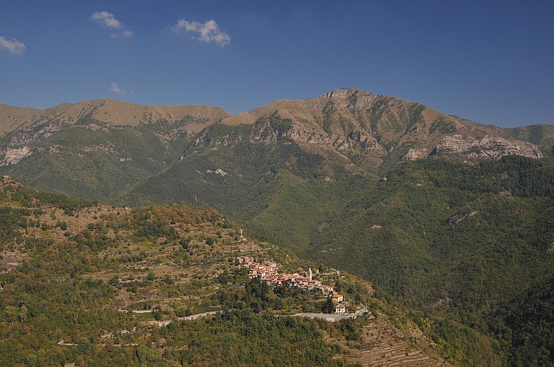 DSC_1291.JPG
