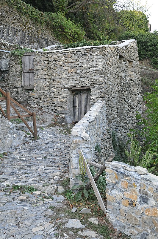 DSC_1373.JPG