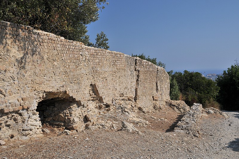 DSC_1441.JPG