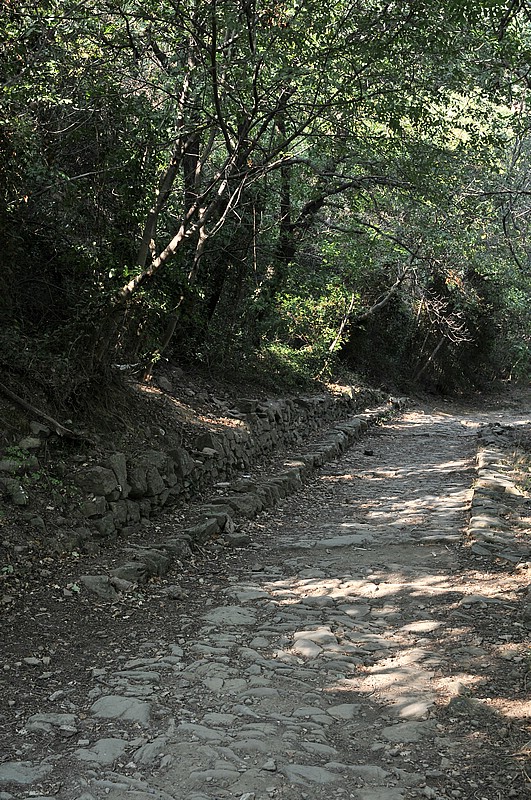 DSC_1459.JPG