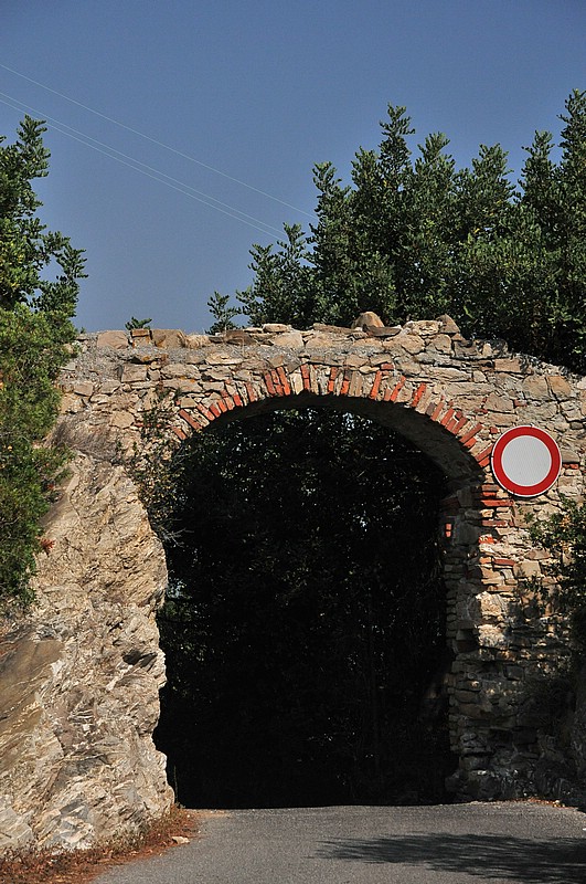 DSC_1506.JPG