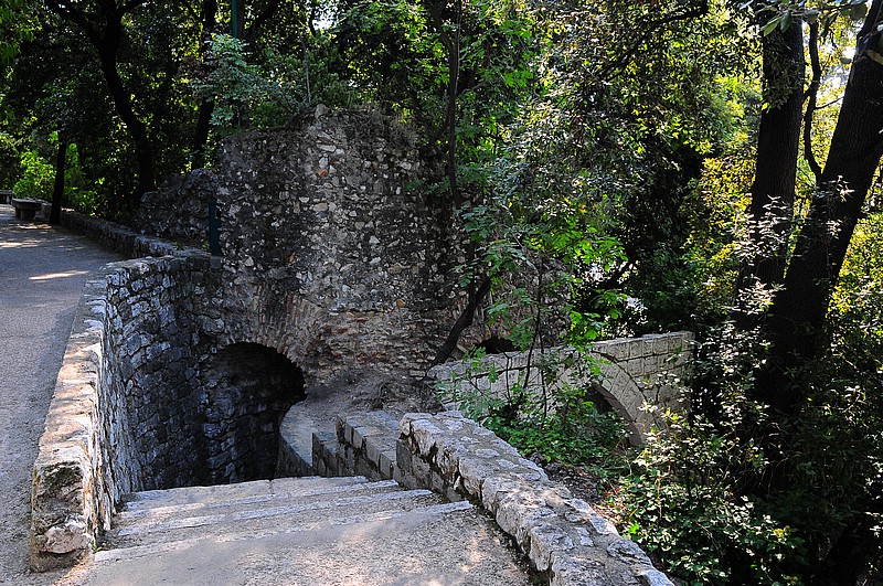 DSC_1806.JPG