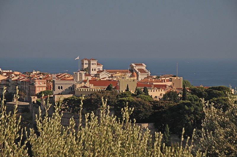 DSC_1973G.jpg
