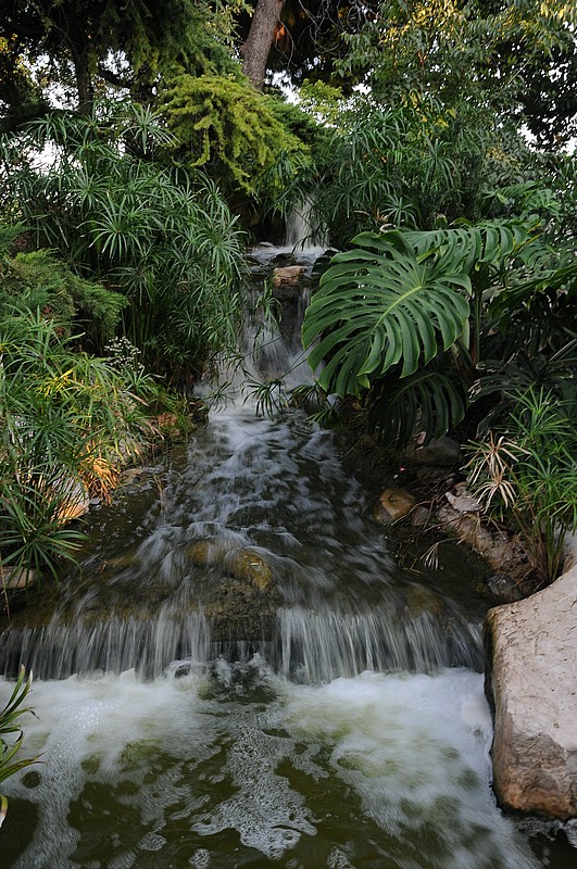 DSC_2060.JPG