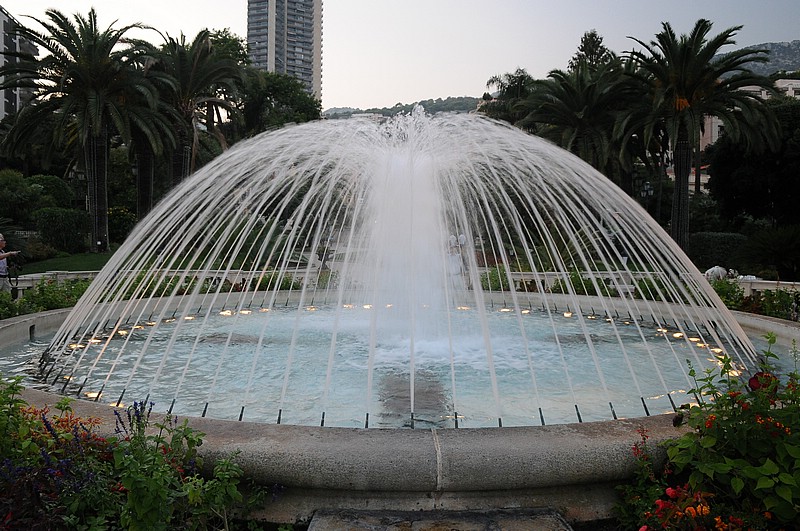DSC_2110CD.jpg